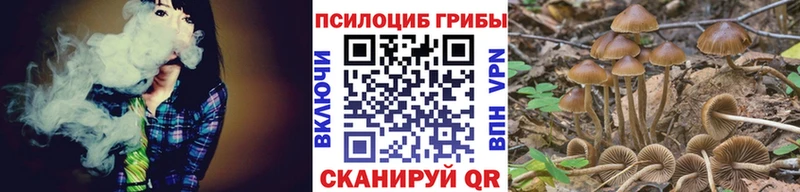 omg рабочий сайт  Луховицы  Псилоцибиновые грибы Psilocybe 
