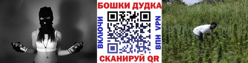 цены   Луховицы  mega ONION  Канабис индика 